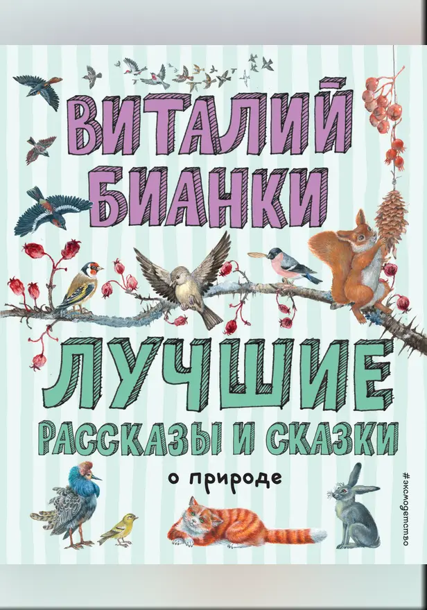 Лучшие рассказы и сказки о природе (ил. М. Белоусовой). Обложка
