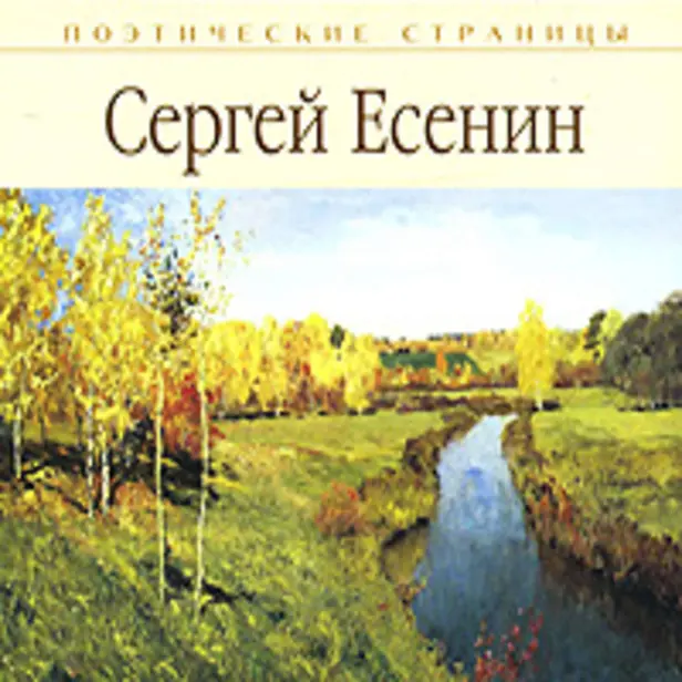 Стихи. Обложка
