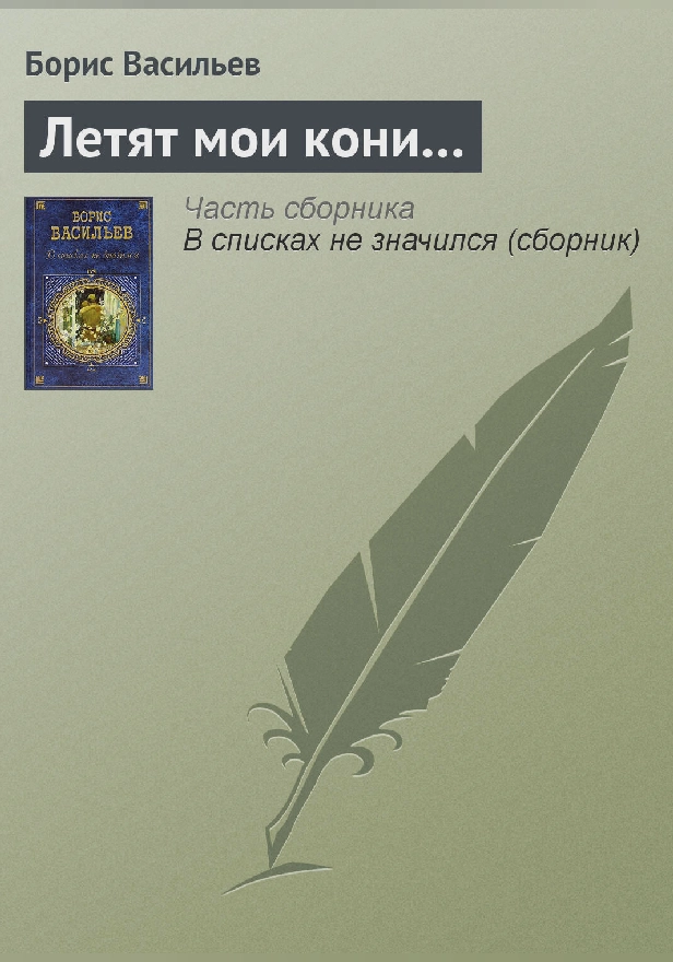 Летят мои кони. Повесть о своем времени. Обложка