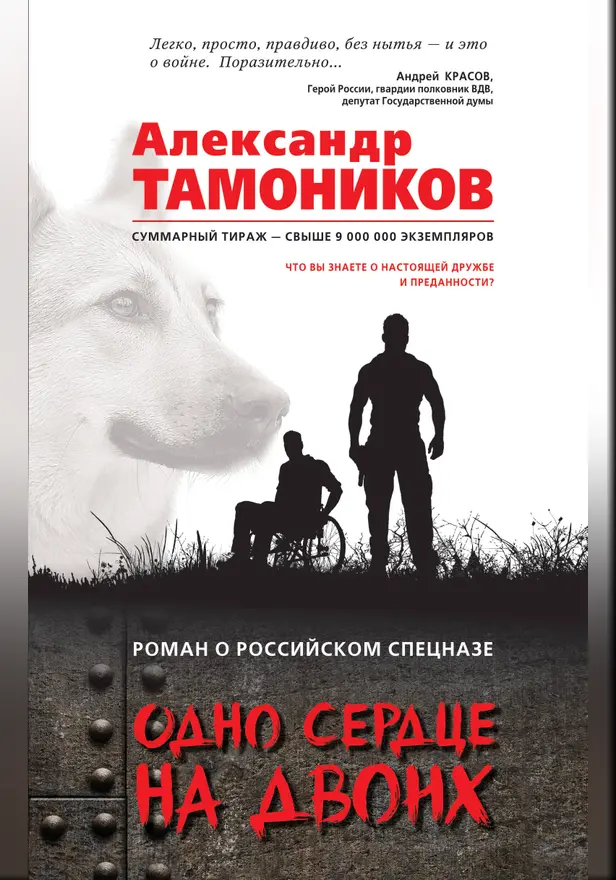 Одно сердце на двоих. Обложка