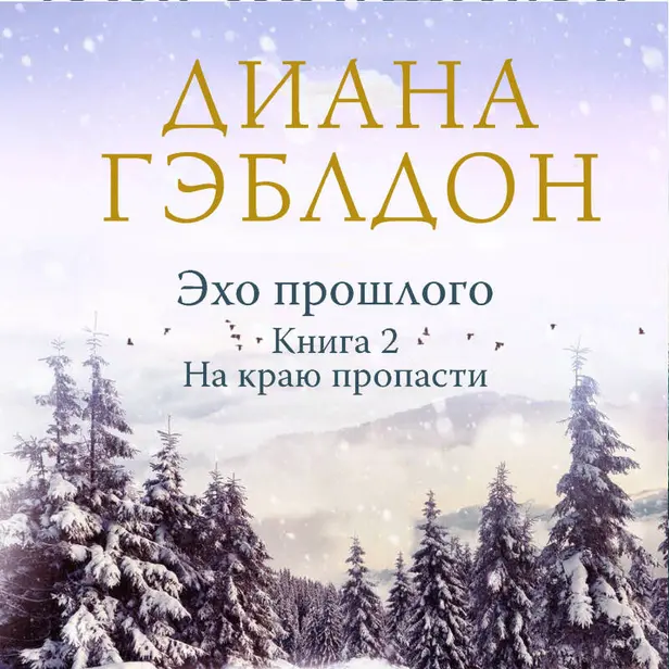 Эхо прошлого. Книга 2. На краю пропасти. Обложка