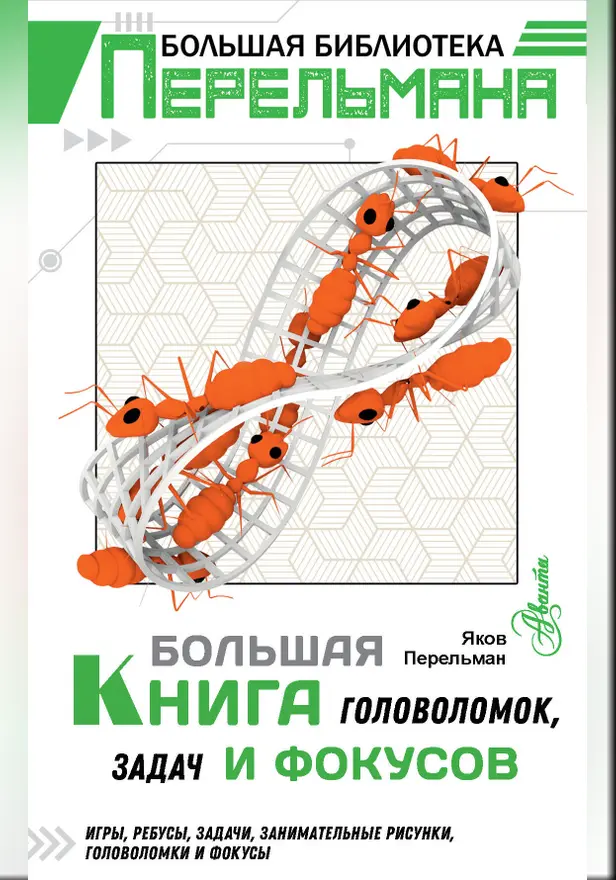 Большая книга головоломок, задач и фокусов. Обложка