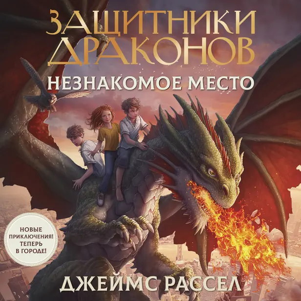 Защитники драконов. Незнакомое место. Обложка