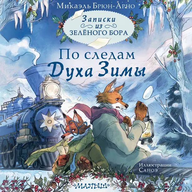 Записки из Зелёного Бора. По следам Духа Зимы. Обложка