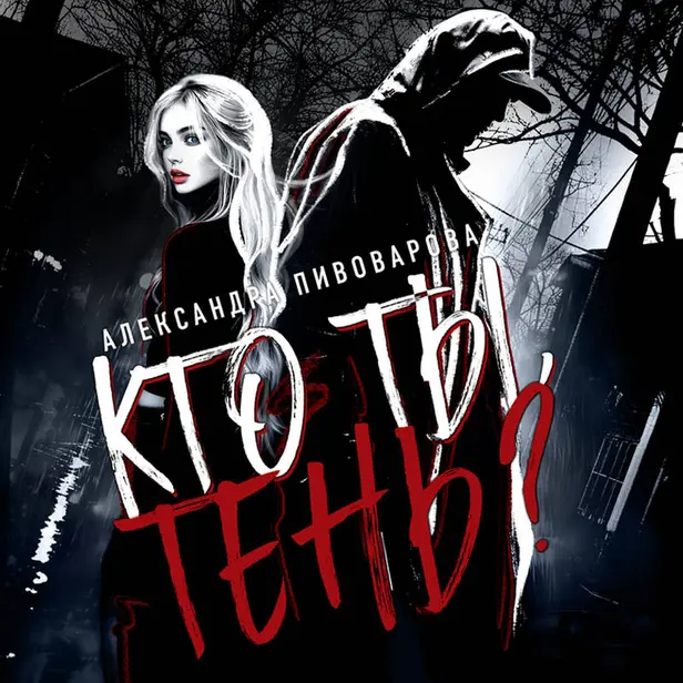 Кто ты, Тень?. Обложка