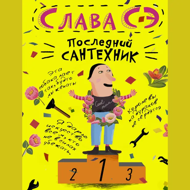 Последний сантехник. Обложка