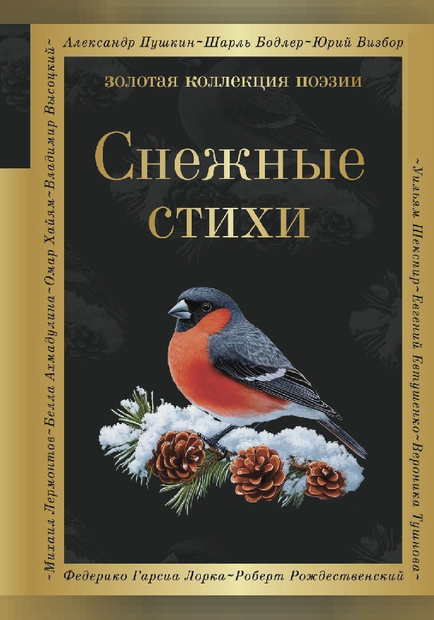 Снежные стихи. Обложка