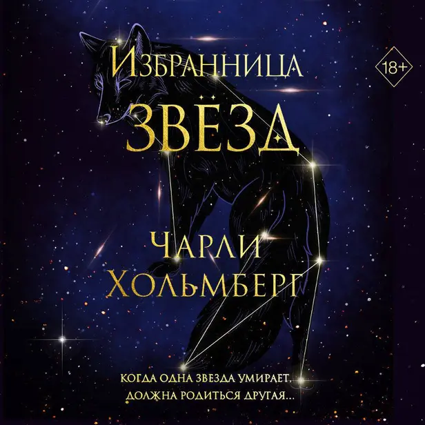 Избранница звёзд. Обложка