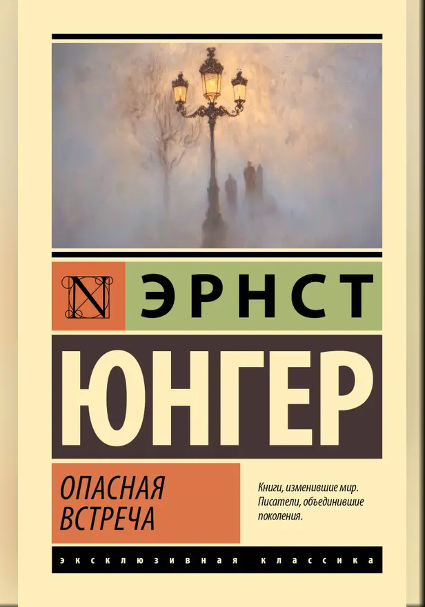 Опасная встреча. Обложка