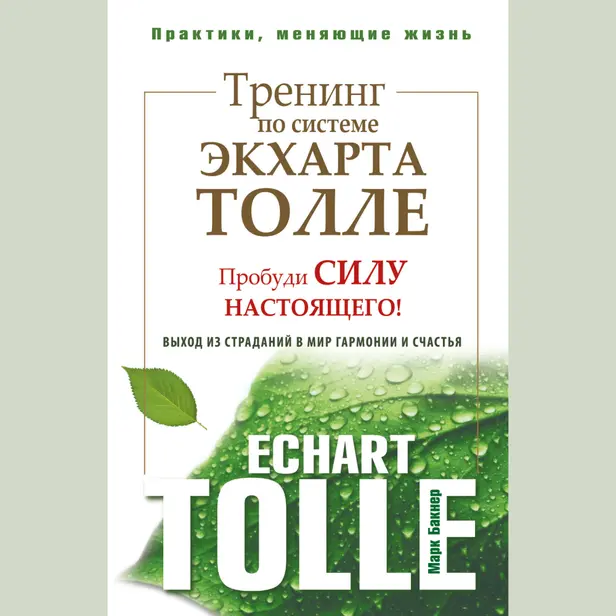 Тренинг по системе Экхарта Толле. Пробуди силу настоящего! Выход из страданий в мир гармонии и счастья. Обложка