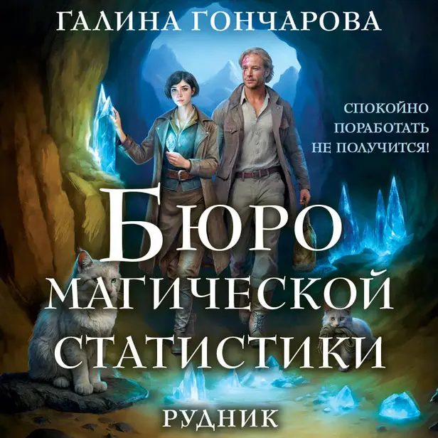 Бюро магической статистики. Рудник. Обложка