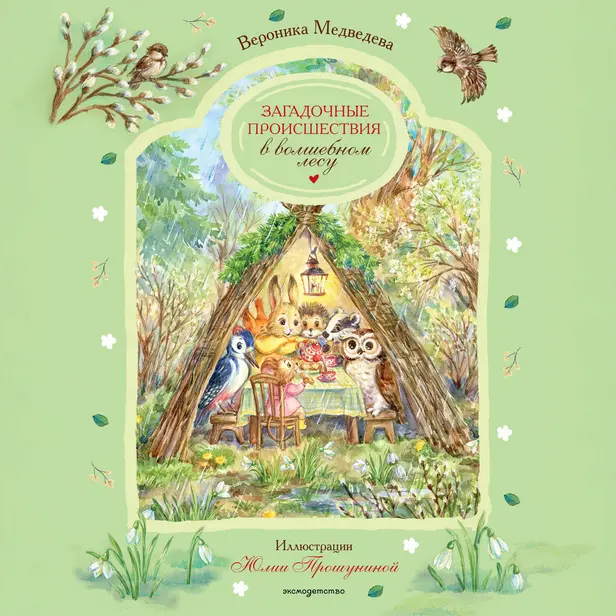 Загадочные происшествия в волшебном лесу. Обложка