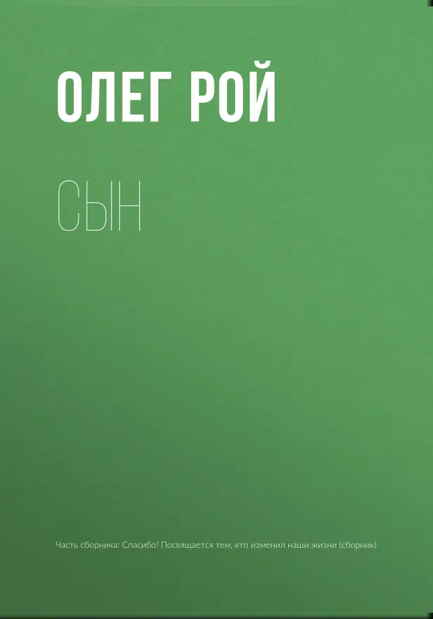 Сын. Обложка