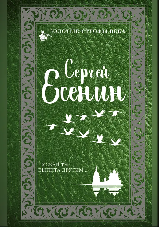 Пускай ты выпита другим. Обложка