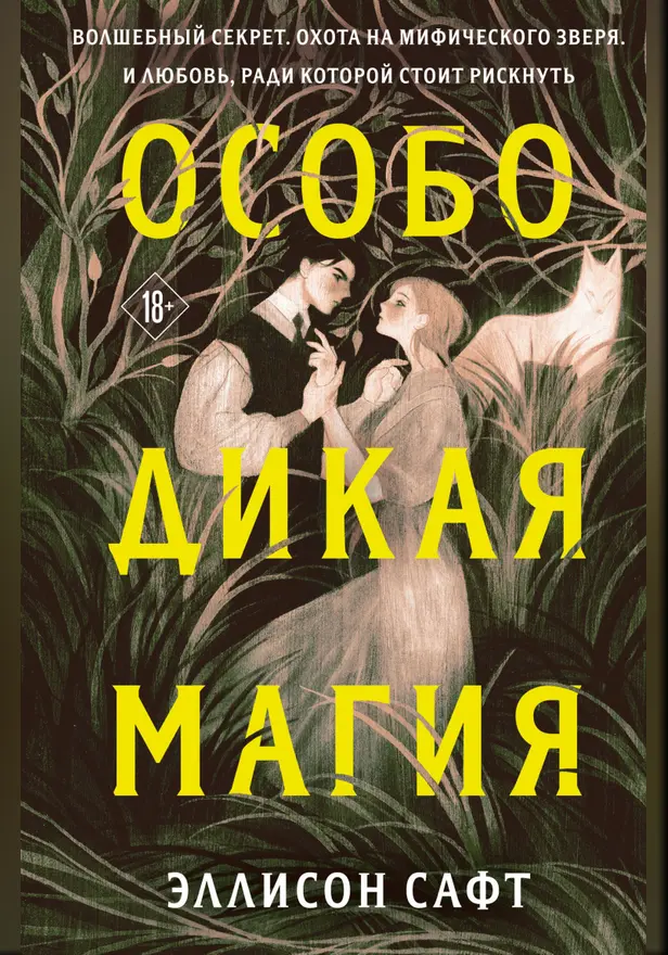 Особо дикая магия. Обложка