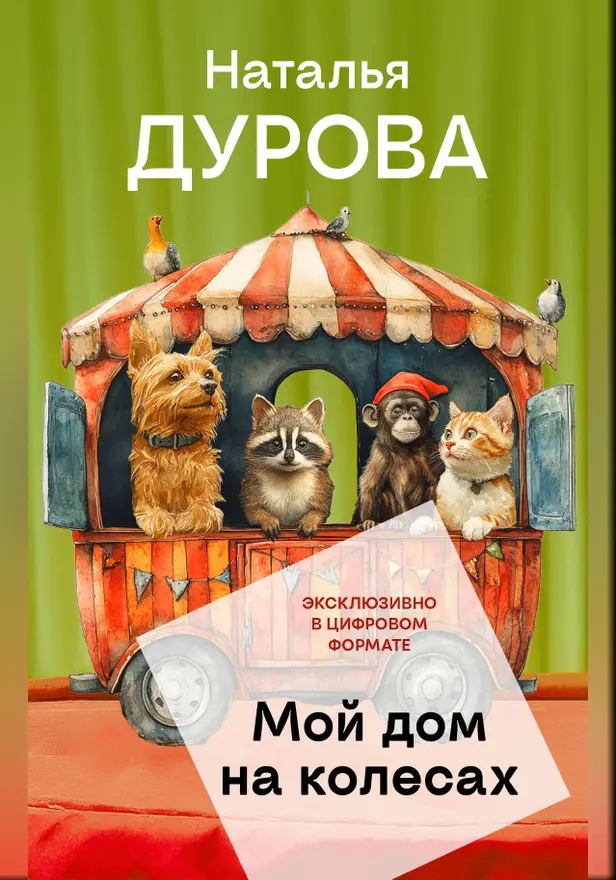 Мой дом на колесах. Обложка