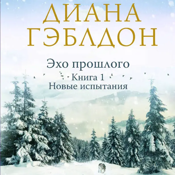 Эхо прошлого. Книга 1. Новые испытания. Обложка