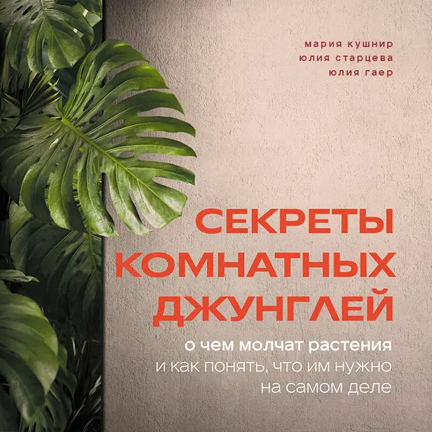 Секреты комнатных джунглей. О чем молчат растения и как понять, что им нужно на самом деле. Обложка
