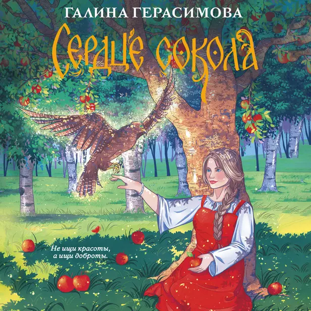 Сердце сокола. Обложка