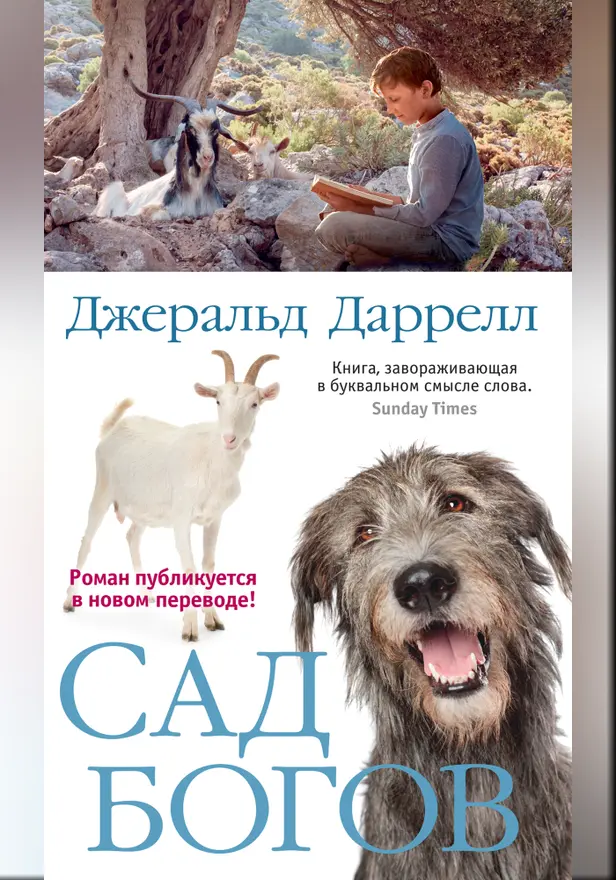 Сад богов. Обложка