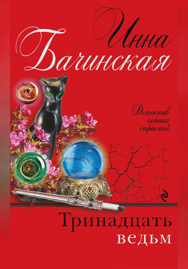 Тринадцать ведьм. Обложка