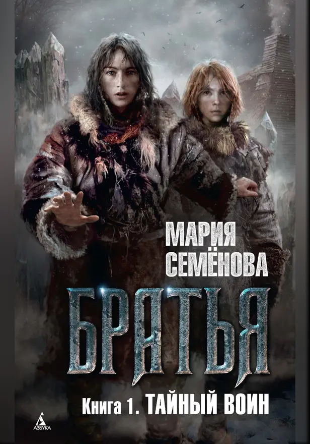 Братья. Книга 1. Тайный воин. Обложка