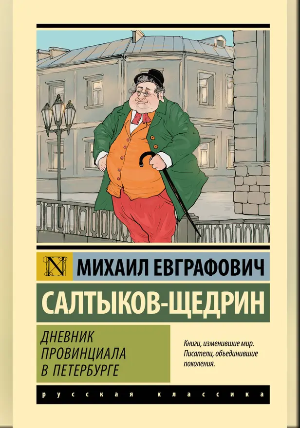 Дневник провинциала в Петербурге. Обложка