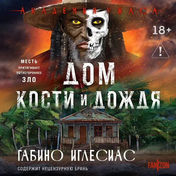 Дом кости и дождя. Обложка