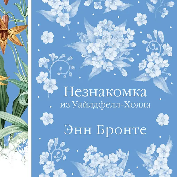 Незнакомка из Уайлдфелл-Холла. Обложка
