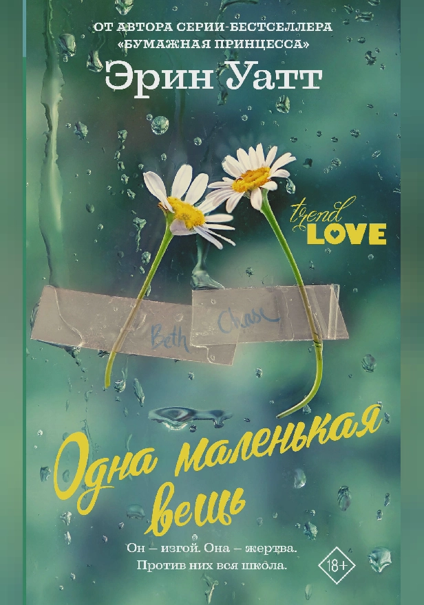 Одна маленькая вещь. Обложка