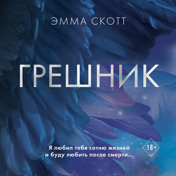 Грешник. Обложка