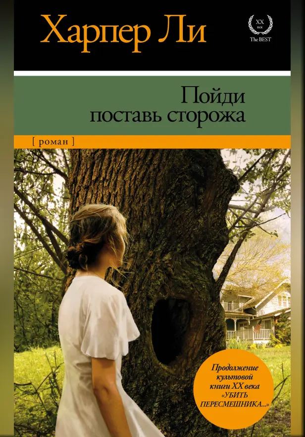 Пойди поставь сторожа. Обложка