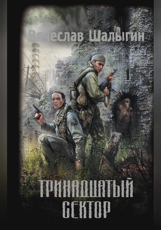 Тринадцатый сектор. Обложка