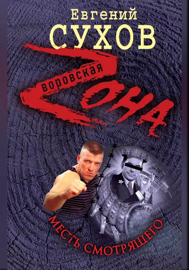 Месть смотрящего. Обложка