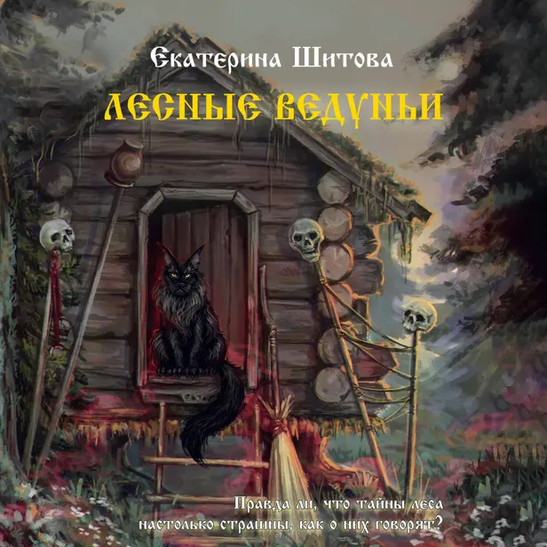 Лесные ведуньи. Обложка