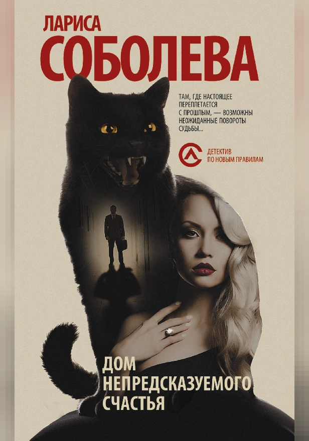 Дом непредсказуемого счастья. Обложка