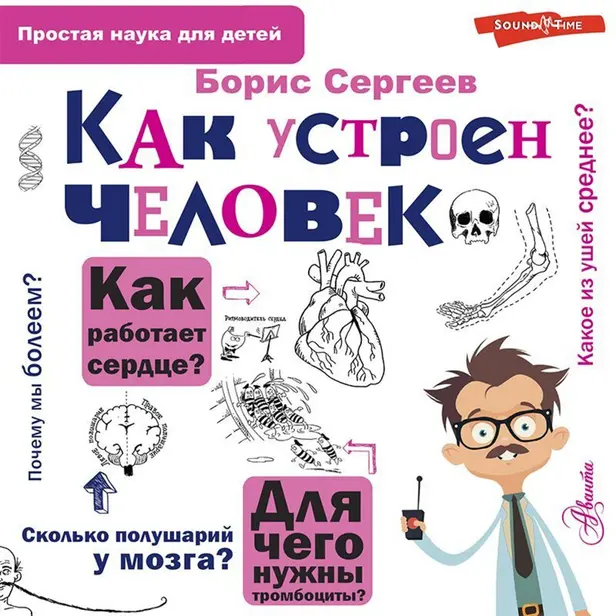 Как устроен человек. Обложка