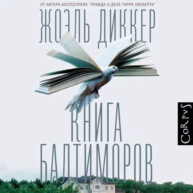 Книга Балтиморов. Обложка