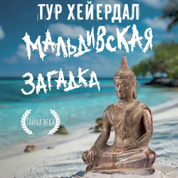 Мальдивская загадка. Обложка