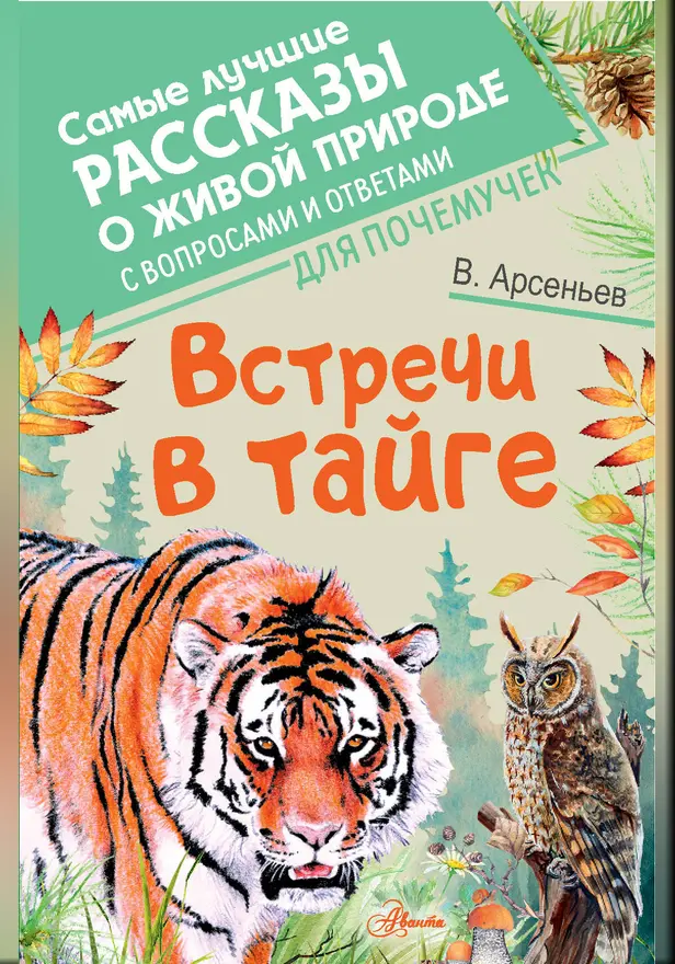 Встречи в тайге. Обложка