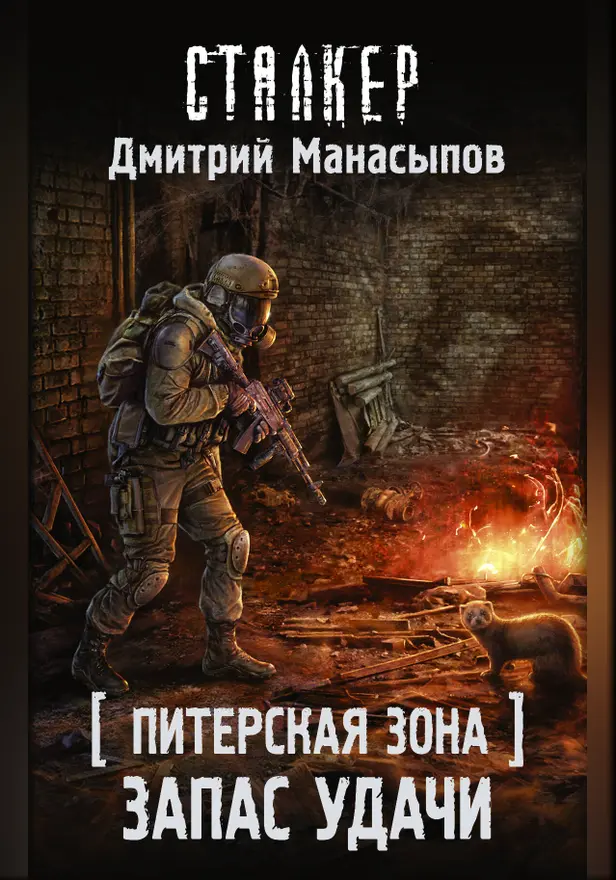 Питерская Зона. Запас удачи. Обложка