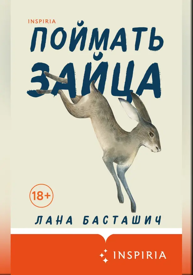 Поймать зайца. Обложка
