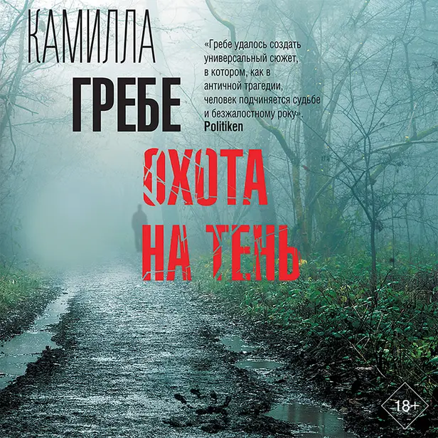 Охота на тень. Обложка