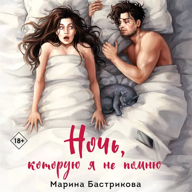 Ночь, которую я не помню. Обложка