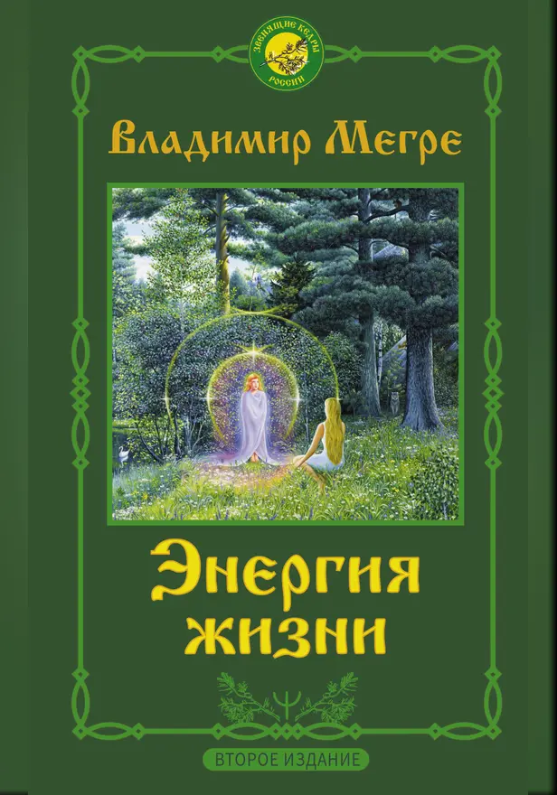 Энергия жизни. Второе издание. Обложка