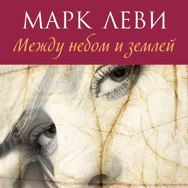 Между небом и землей. Обложка