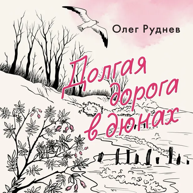 Долгая дорога в дюнах. Обложка