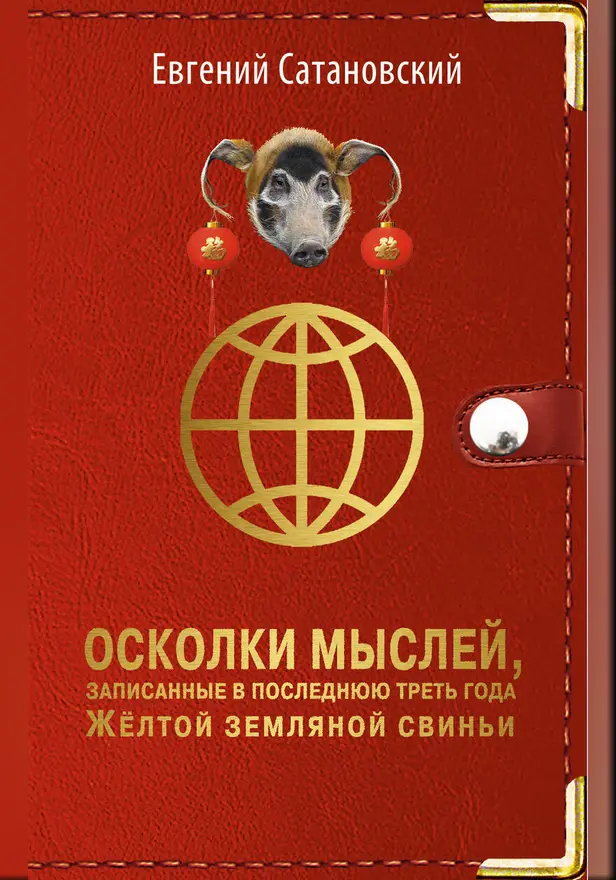 Осколки мыслей, записанные в последнюю треть года Желтой Земляной Свиньи. Обложка