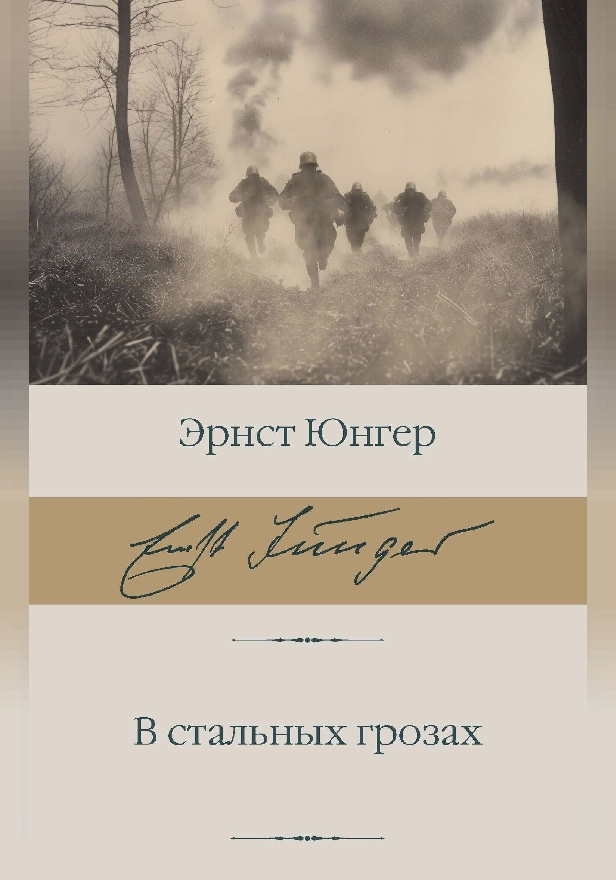 В стальных грозах. Обложка