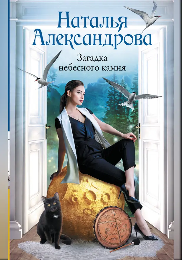 Загадка небесного камня. Обложка
